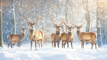 Obraz premium Noble Deer in Snowy Forest Wildlife