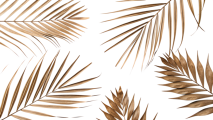 palm leaves background