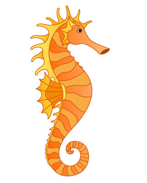 Golden-orange cute Seahorse in cartoon style - ocean dweller - vector full color picture. Fish seahorse is an underwater life.	