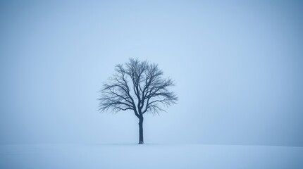 Winter's Breath: A solitary tree stands against the stark, muted landscape