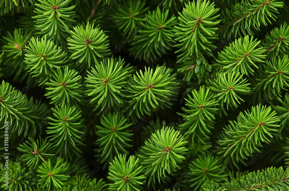 Poster dense pine foliage from an evergreen tree close up : generative ai