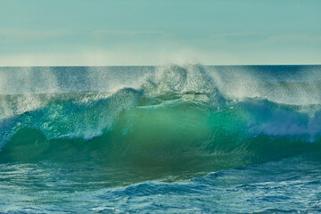 Crashing Ocean Wave in Sunlight