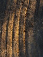 Earthy textures, astracted view of dark ground with gold streaks