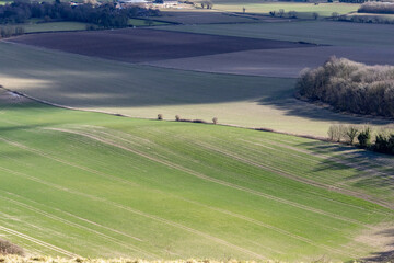 course in the morning  (Lewes) © ziyu