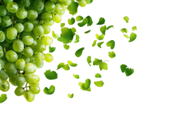 green grape leaves on transparent background