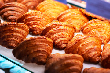 Freshly baked croissants sit in a glass display case