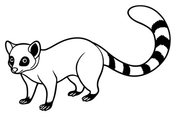 Ringtail Silhouette