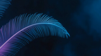 Elegant neon feather glowing in blue and pink hues against a dark background for futuristic nature-inspired designs and artistic visuals