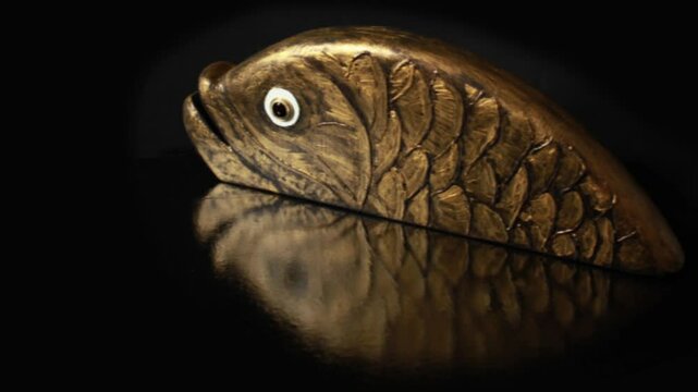 goldfish, golden reflection, black background