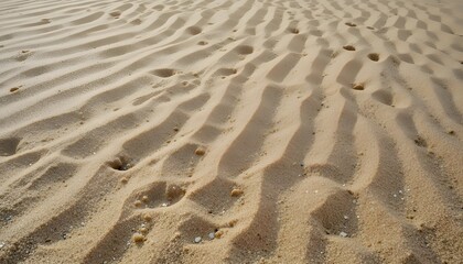 Fototapeta premium Close-Up of Wind-Formed Ripple Patterns in Beach Sand