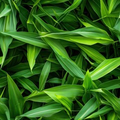 Obraz premium Seamless Vibrant green leaves bathed in soft natural light creating an inviting and refreshing atmosphere in nature