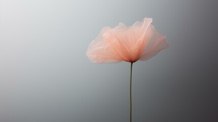 Fototapeta premium Abstract Translucent Flower on Gray Background