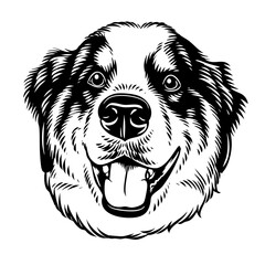 vector illustration of a black and white dog