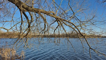 beginning of spring, early spring