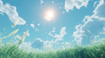 Obraz premium Bright sunlight over swaying grass against a vibrant blue cloudy sky