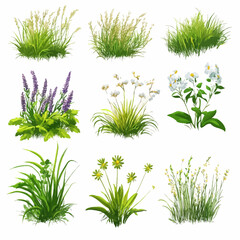 Variety of grass and flower tufts for landscaping or graphic elements