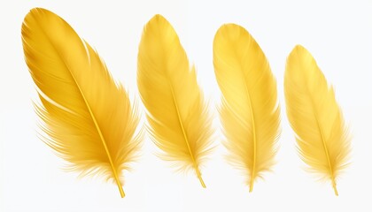 gold yellow pink green blue silver purple orange feather isolated on white