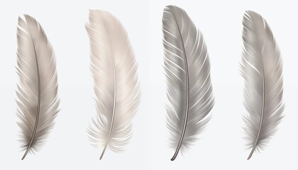 gold yellow pink green blue silver purple orange feather isolated on white