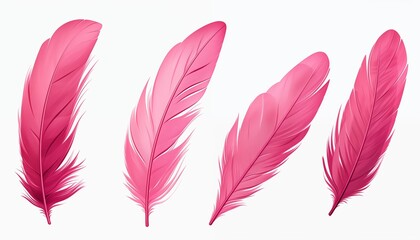 gold yellow pink green blue silver purple orange feather isolated on white
