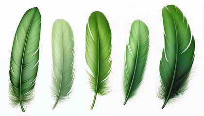 gold yellow pink green blue silver purple orange feather isolated on white