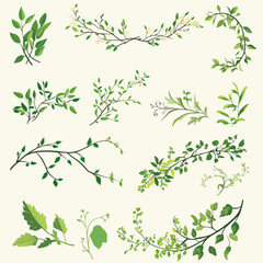 Green Foliage Twigs Vector Illustration for Wedding Invitation Designs