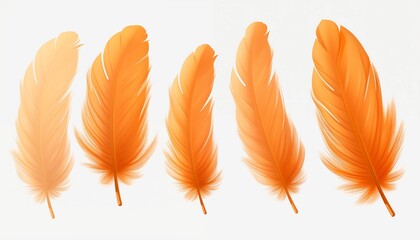 gold yellow pink green blue silver purple orange feather isolated on white