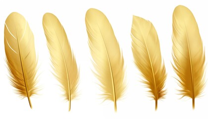 gold yellow pink green blue silver purple orange feather isolated on white