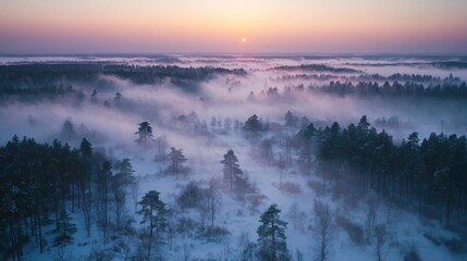 Aerial view of winter forest shrouded in fog at sunrise