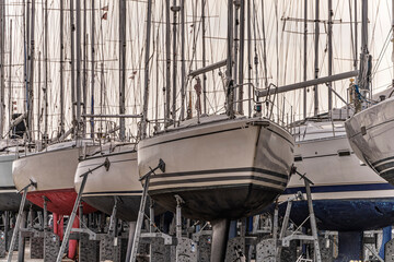 Row of Docked Sailboats in Harbor Storage Area During Offseason, Juelsminde, Denmark