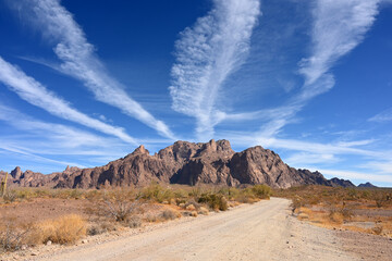 KOFA Wildlife Preserve