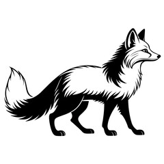 Obraz premium An elegant Arctic Fox silhouette icon set against a clean white background. 