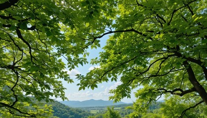 Fototapeta premium Nature scene framed by green leaves mountain landscape photography daylight close-up serenity