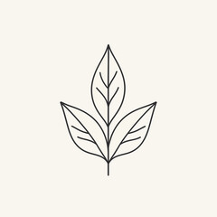Minimalist Leaf Line Art Design on Cream Backdrop, Botanical Illustration