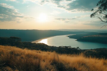 Serene Coastal Vista: An expansive view from a high vantage point of a tranquil bay, embraced by lush hills and golden grasslands, under the warm glow of the sun.
