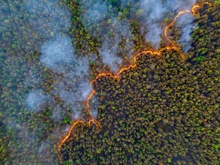 Drone view of a raging forest fire, thick smoke rising, emitting CO₂ and greenhouse gases....