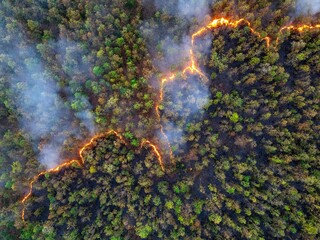 Aerial view of wildfire spreading through dense forest, leaving destruction behind. Smoke releases...