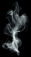 Obraz premium Ethereal white smoke swirls creating elegant abstract shapes against black background, flowing upward in graceful curves and wisps for artistic compositions.