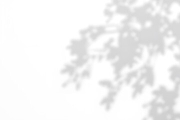 Icy 3D snowflake winter design vector art