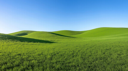 Obraz premium Fresh green grasses field with hilly terrain and clear blue sky