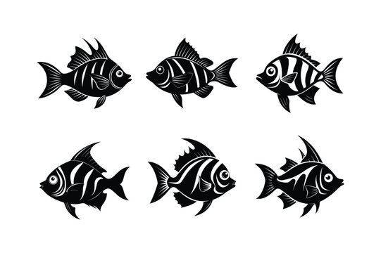 Oceanbloom Boarfish silhouette vector illustration