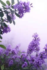 Obraz premium Vibrant purple flowers blooming in a misty garden landscape during the early morning light