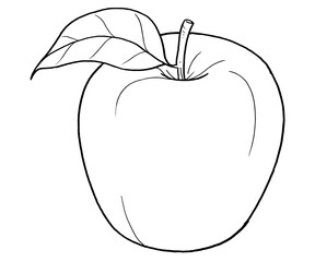 Apple Hand Drawn Illustration