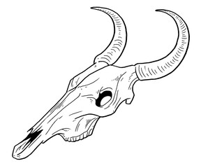 Bison Skull Hand Drawn Illustration