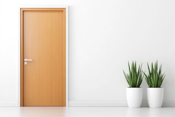 Modern wooden door with potted plants against a minimalist white wall