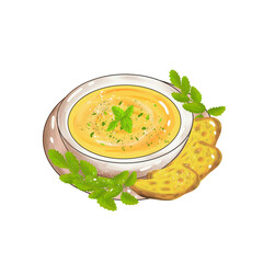 Pumpkin vegetable soup on white background
