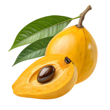 Egg Fruit (Canistel), isolated on a transparent background