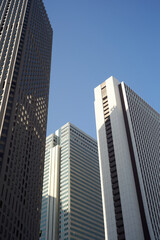 Fototapeta premium 見上げた高層ビル