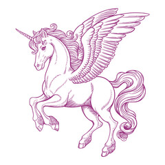 A detailed sketch of a winged unicorn, rendered in purple lines on a white background