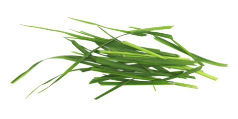 Pile green cut wild grass isolated on white background and texture, top view