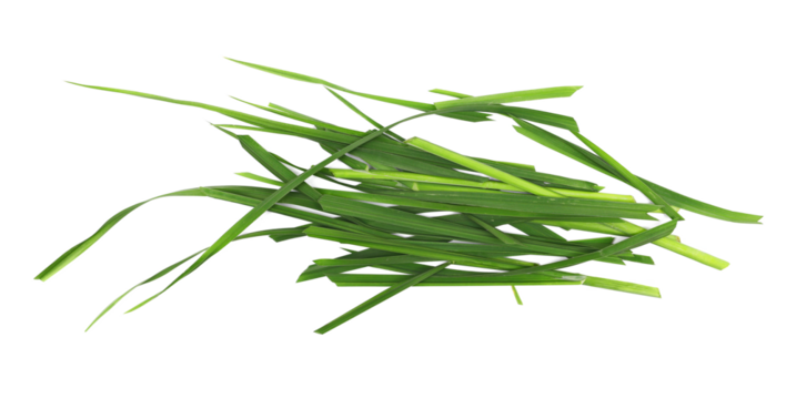 Pile green cut wild grass isolated on white background and texture, top view